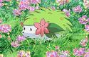 images 5