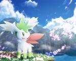 Shaymin!